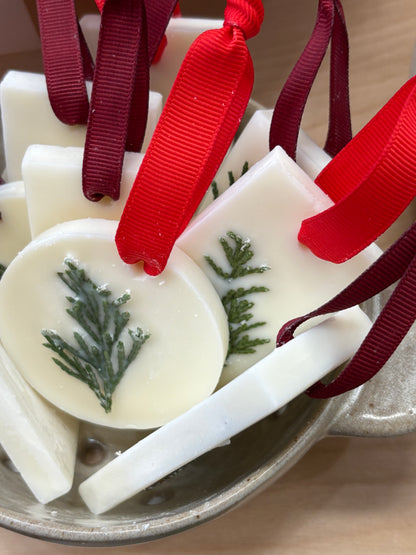 Oregon Forest Wax Melt Ornament | Tree Hanging Wax Melt